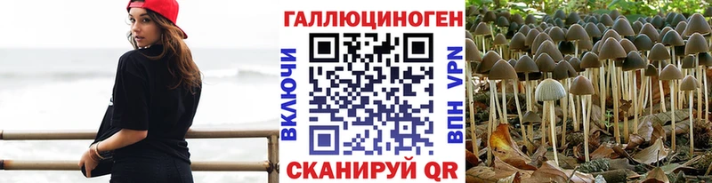 Галлюциногенные грибы Cubensis  мега как войти  Новое Девяткино 